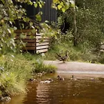 Mobil Moderne Avec Terrasse Pour 4 Personnes - Api-1-52-468 * Granges-Aumontzey