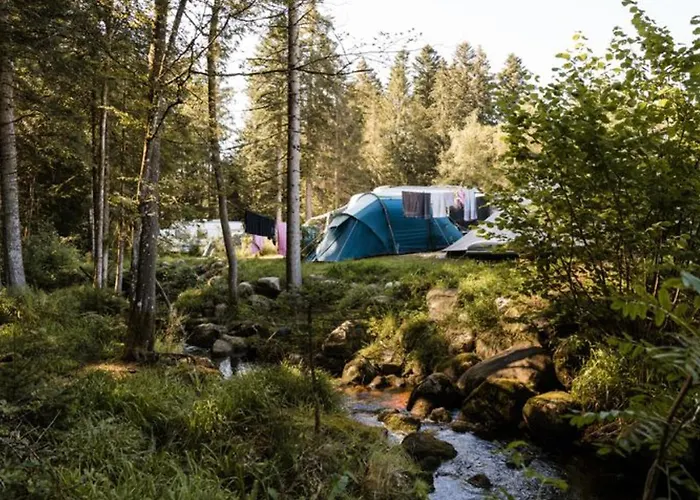 Mobil Moderne Avec Terrasse Pour 4 Personnes - Api-1-52-468 Campsite *