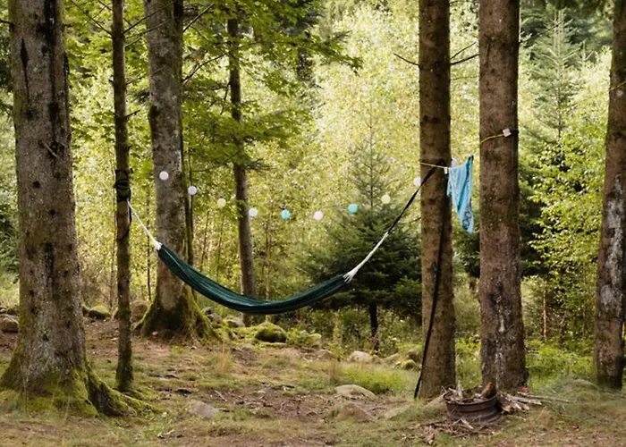 Mobil Moderne Avec Terrasse Pour 4 Personnes - Api-1-52-468 Camping