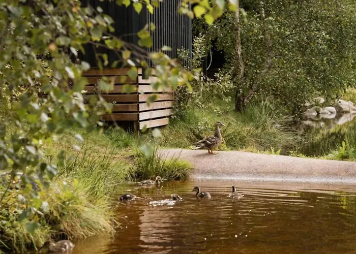 Mobil Moderne Avec Terrasse Pour 4 Personnes - Api-1-52-468 * Granges-Aumontzey